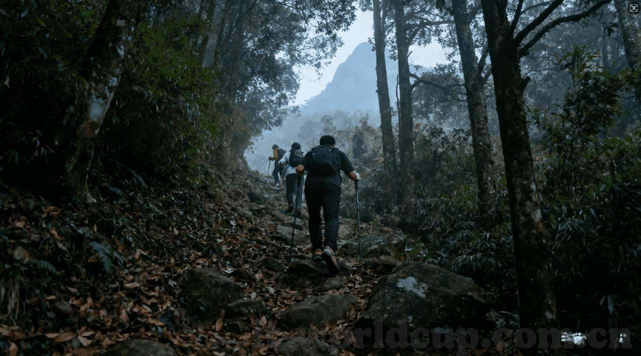 男篮世界杯怎么买球-男篮世界杯观赛指南，如何智慧投注与享受比赛